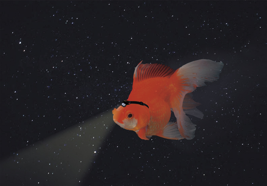 Diseño de Photoshop por Ash23Ash para DesignCrowd (Community Contests) | Diseño #8986478