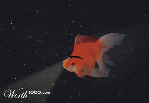 Photoshop Design by Ash23Ash