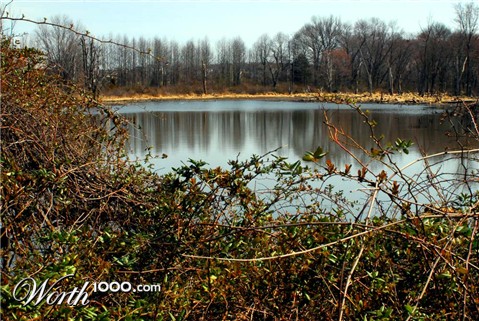 Photography by vramos11