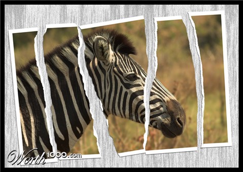 Photography by kimbomac