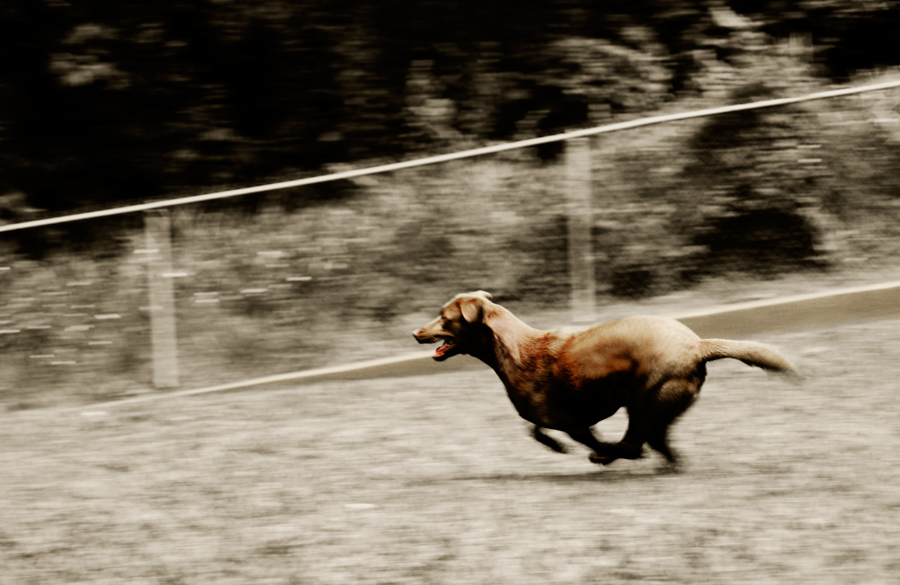 Photography by isuro7 for DesignCrowd (Community Contests) | Design #8987976
