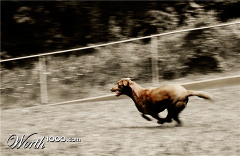 Photography by isuro7