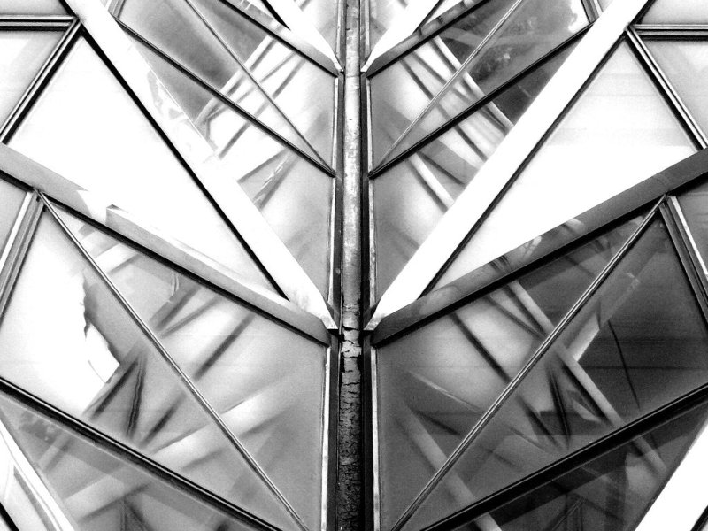 Fotografie von lticew für DesignCrowd (Community Contests) | Design #8982540