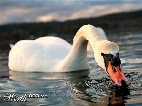 Photography by ShereenM