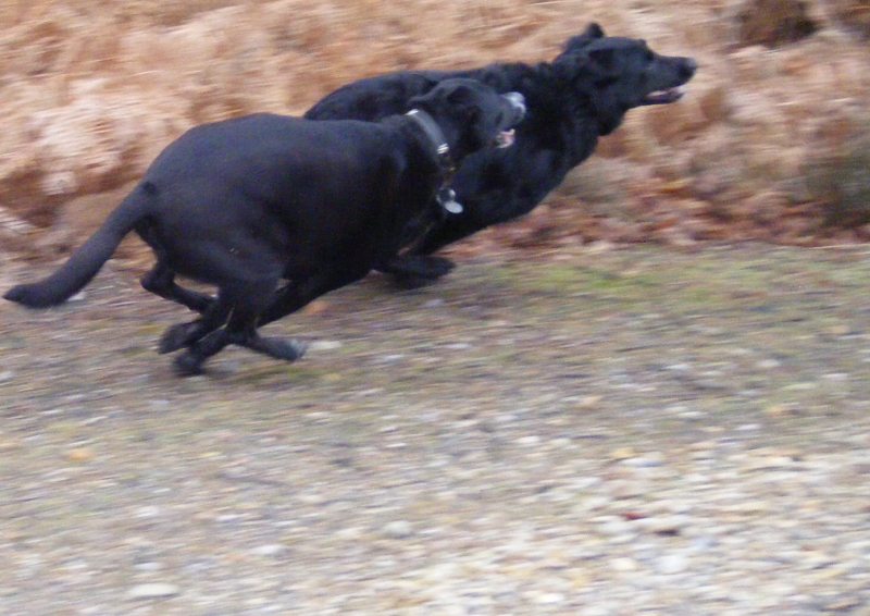 Photography by malefycat for DesignCrowd (Community Contests) | Design #8988014