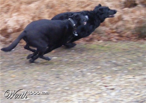 Photography by malefycat