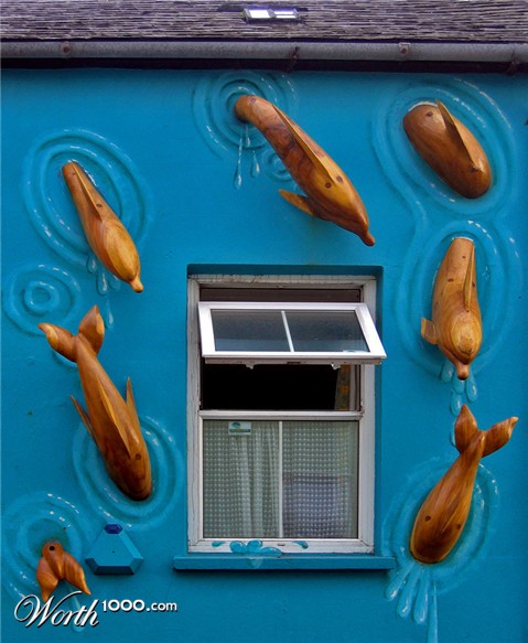 Photography by vramos11