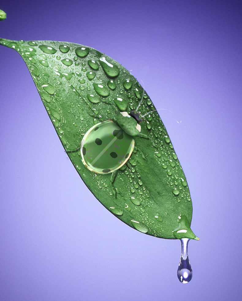 Photoshop Design by rpdarun for DesignCrowd (Community Contests) | Design #8987330