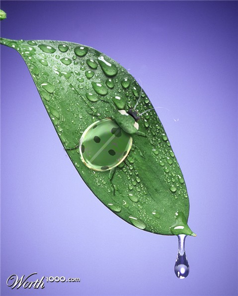 Photoshop Design by rpdarun