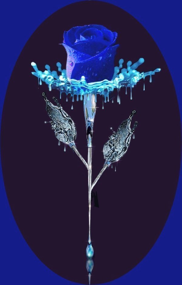 Design Photoshop par LadyHawk771 pour DesignCrowd (Community Contests) | Design #8987323