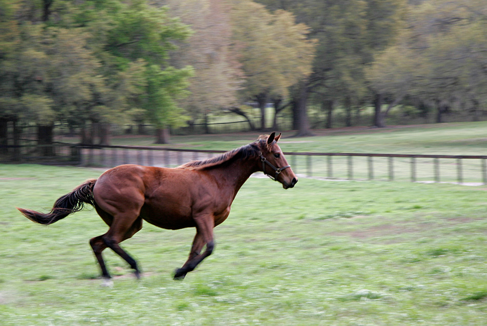 Photography by pinkfly for DesignCrowd (Community Contests) | Design #8988036