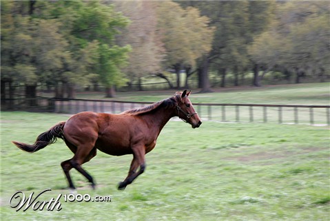 Photography by pinkfly