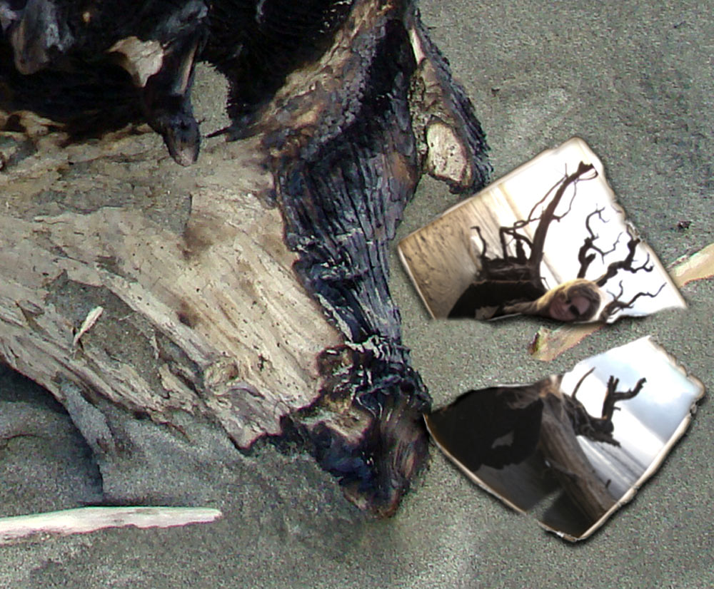 Photographie par Ron Miller pour DesignCrowd (Community Contests) | Design #8981865