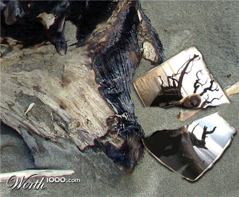 Photography by Ron Miller