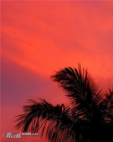 Photography by shoz95