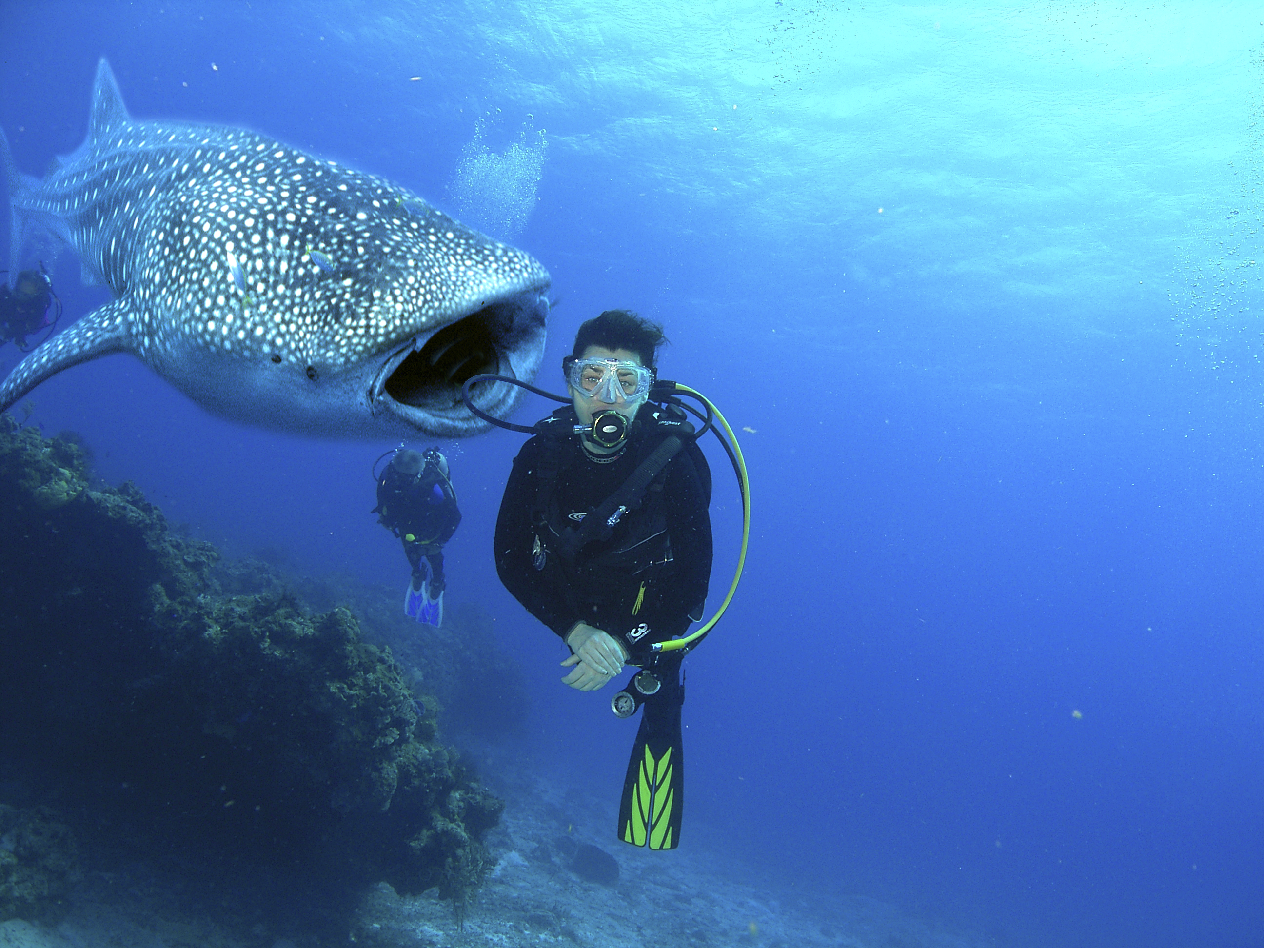 Photoshop Design by ankitbgurjar for DesignCrowd (Community Contests) | Design #8982769