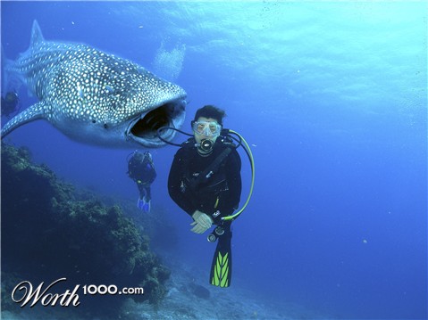 Photoshop Design by ankitbgurjar