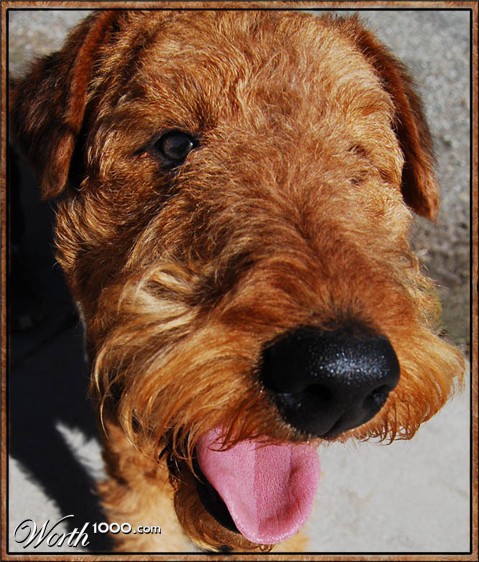 Photography by ClickChick