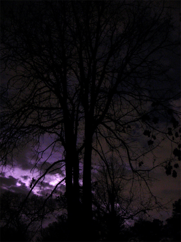 Photographie par cicisunflower pour DesignCrowd (Community Contests) | Design #8987029