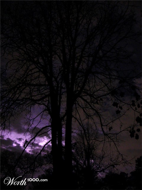 Photography by cicisunflower