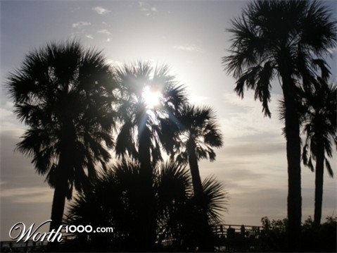 Photography by coffeecrazy4