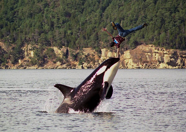 Design Photoshop par VaneetraX pour DesignCrowd (Community Contests) | Design #8982785