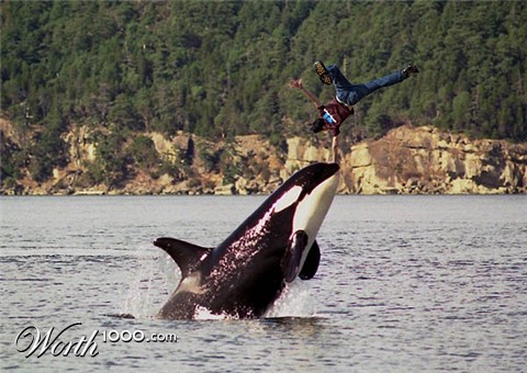 Photoshop Design by VaneetraX