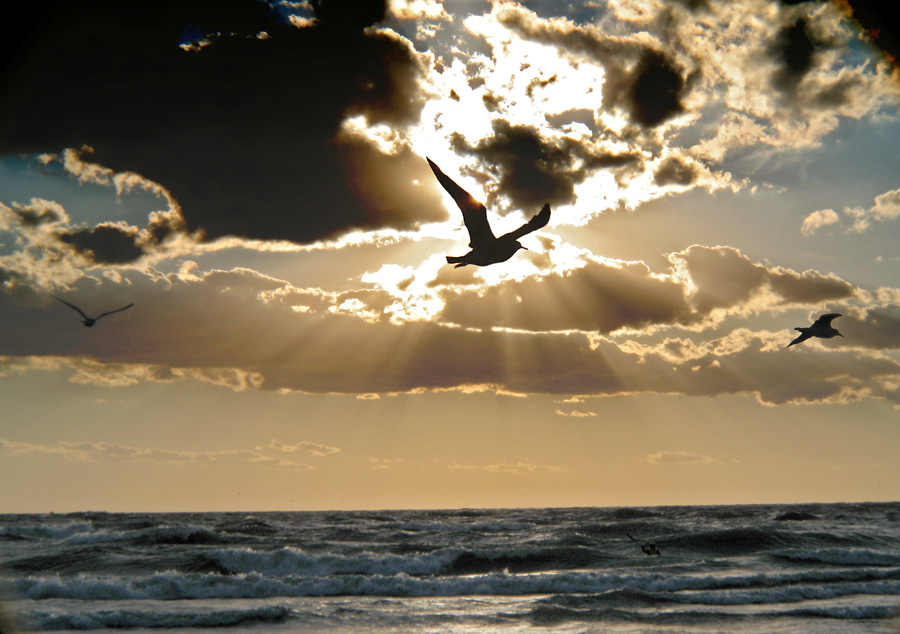 Photography by underhill for DesignCrowd (Community Contests) | Design #8987074