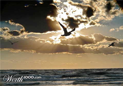 Photography by underhill