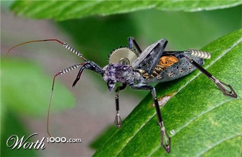 Photoshop Design by LadyHawk771