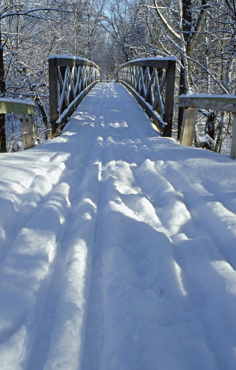 Photographie par northman pour DesignCrowd (Community Contests) | Design #8987882