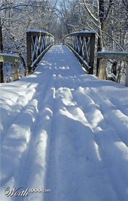 Photography by northman