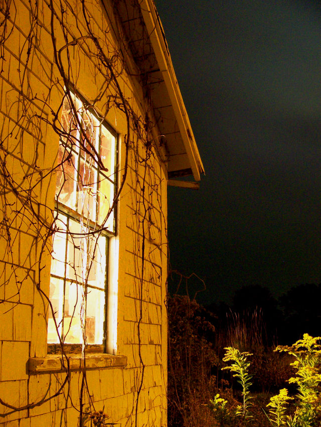 Photography by Marlii for DesignCrowd (Community Contests) | Design #8982718