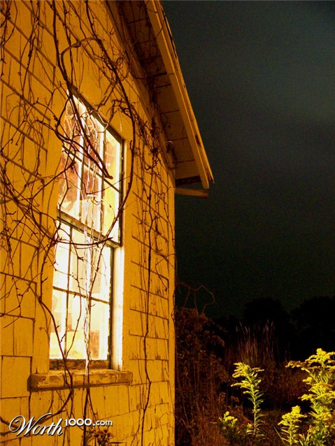 Photography by Marlii