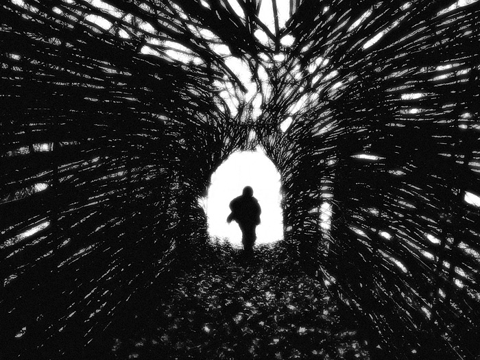 Photography by DogofAges for DesignCrowd (Community Contests) | Design #8987238