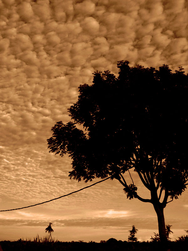 Photography by cloverleafz for DesignCrowd (Community Contests) | Design #8987191