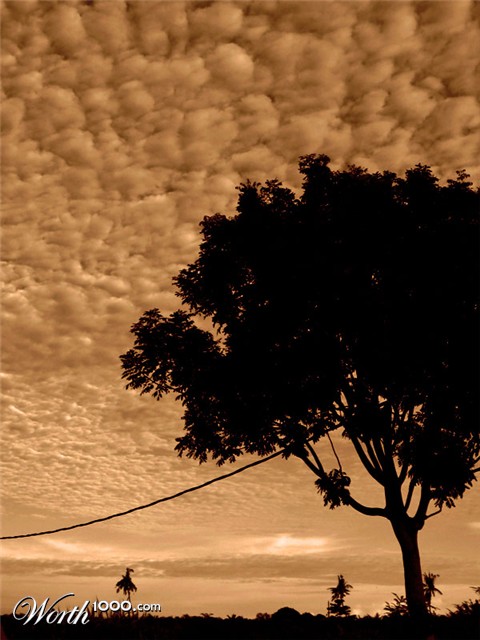 Photography by cloverleafz