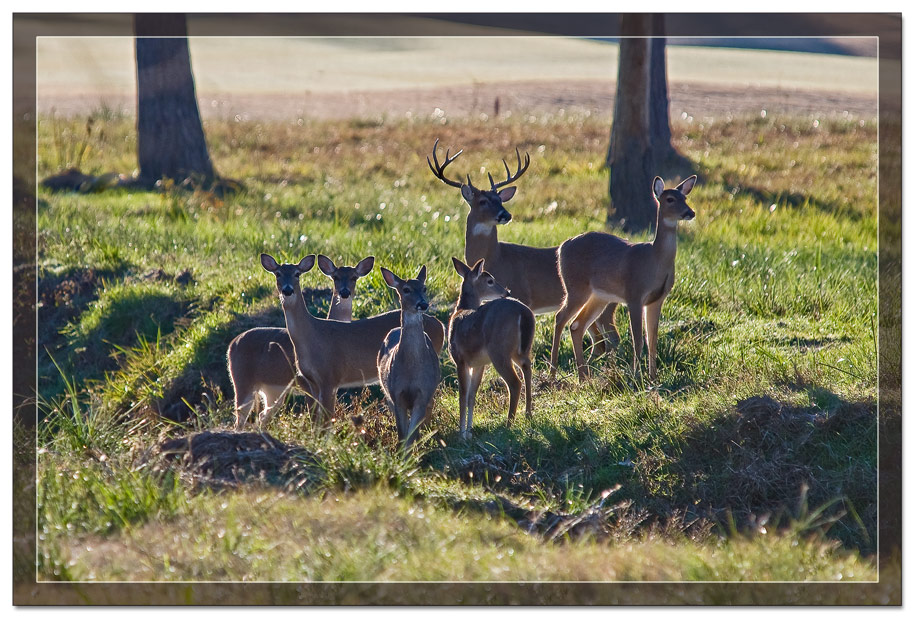 Photography by Fishcat for DesignCrowd (Community Contests) | Design #8985537