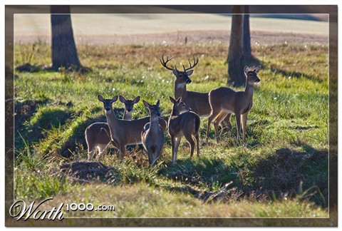 Photography by Fishcat