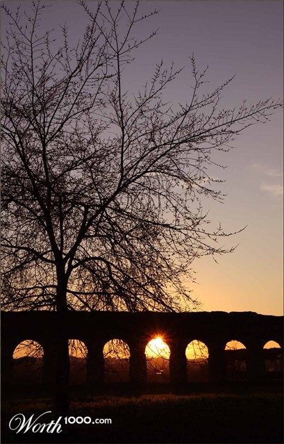 Photography by clapel