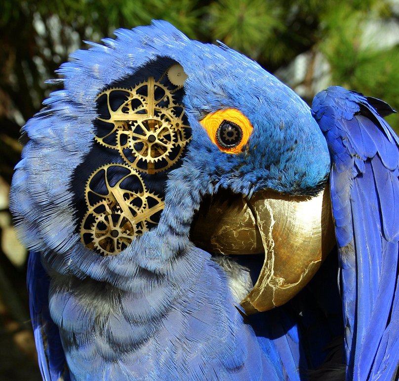 Photoshop Design by MissGator for DesignCrowd (Community Contests) | Design #8982589