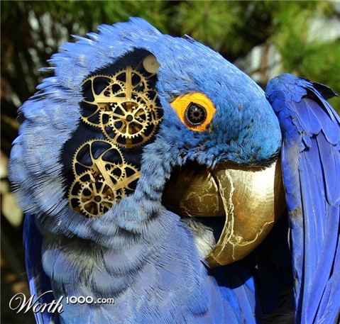 Photoshop Design by MissGator