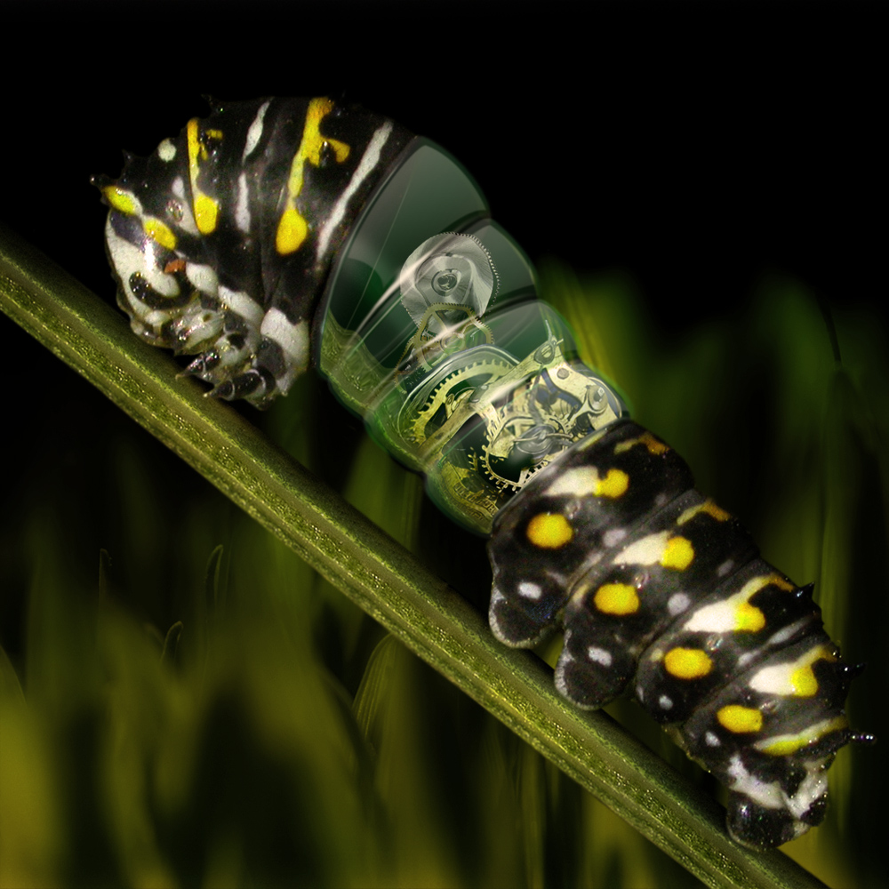 Photoshop Design by cosmitchny for DesignCrowd (Community Contests) | Design #8982593