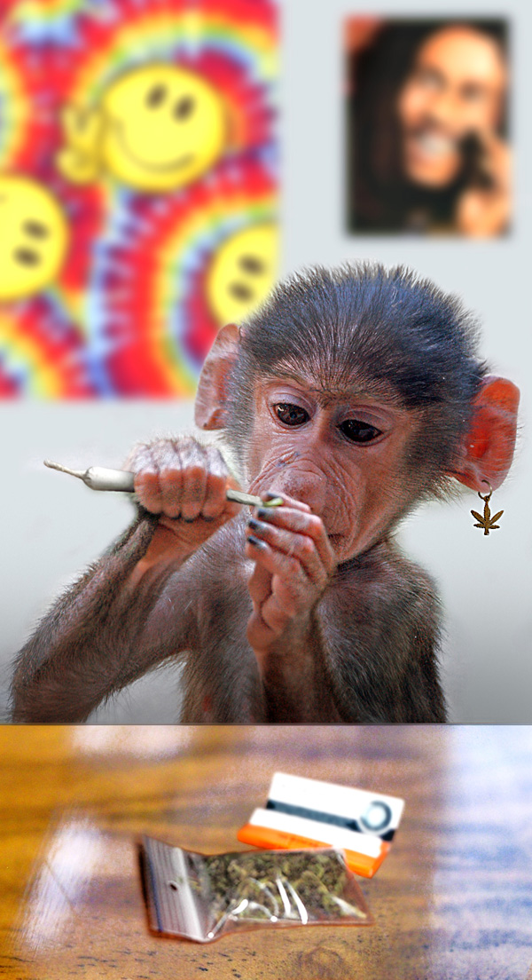 Photoshop Design by mzpresto for DesignCrowd (Community Contests) | Design #8987031