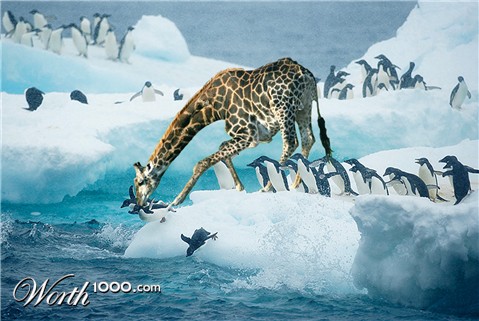 Photoshop Design by alesiphoto