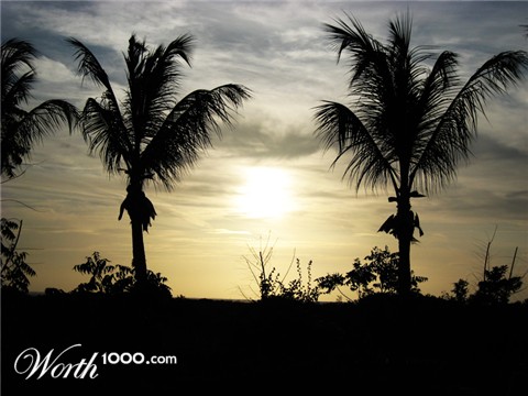 Photography by russe11