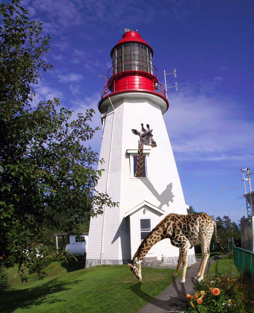 Photoshop-Design von Angelicangellover für DesignCrowd (Community Contests) | Design #8986515