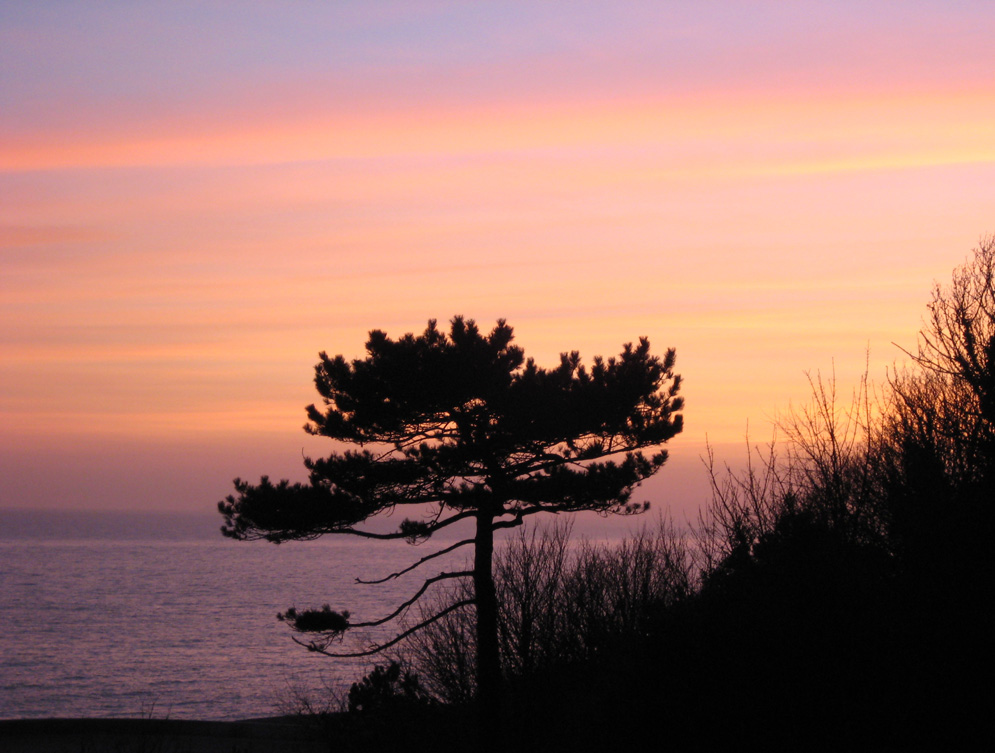 Photography by claudime for DesignCrowd (Community Contests) | Design #8987992