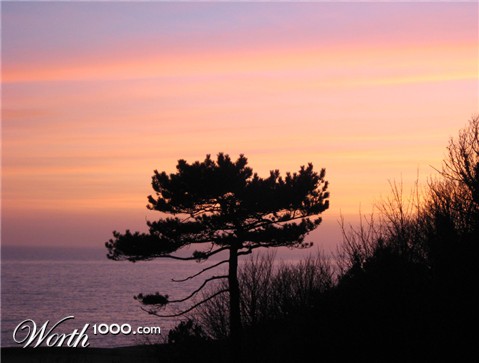 Photography by claudime