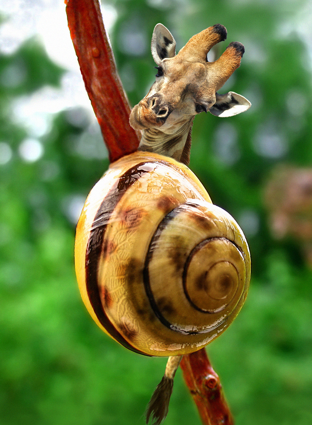 Photoshop Design by fanucci for DesignCrowd (Community Contests) | Design #8986522